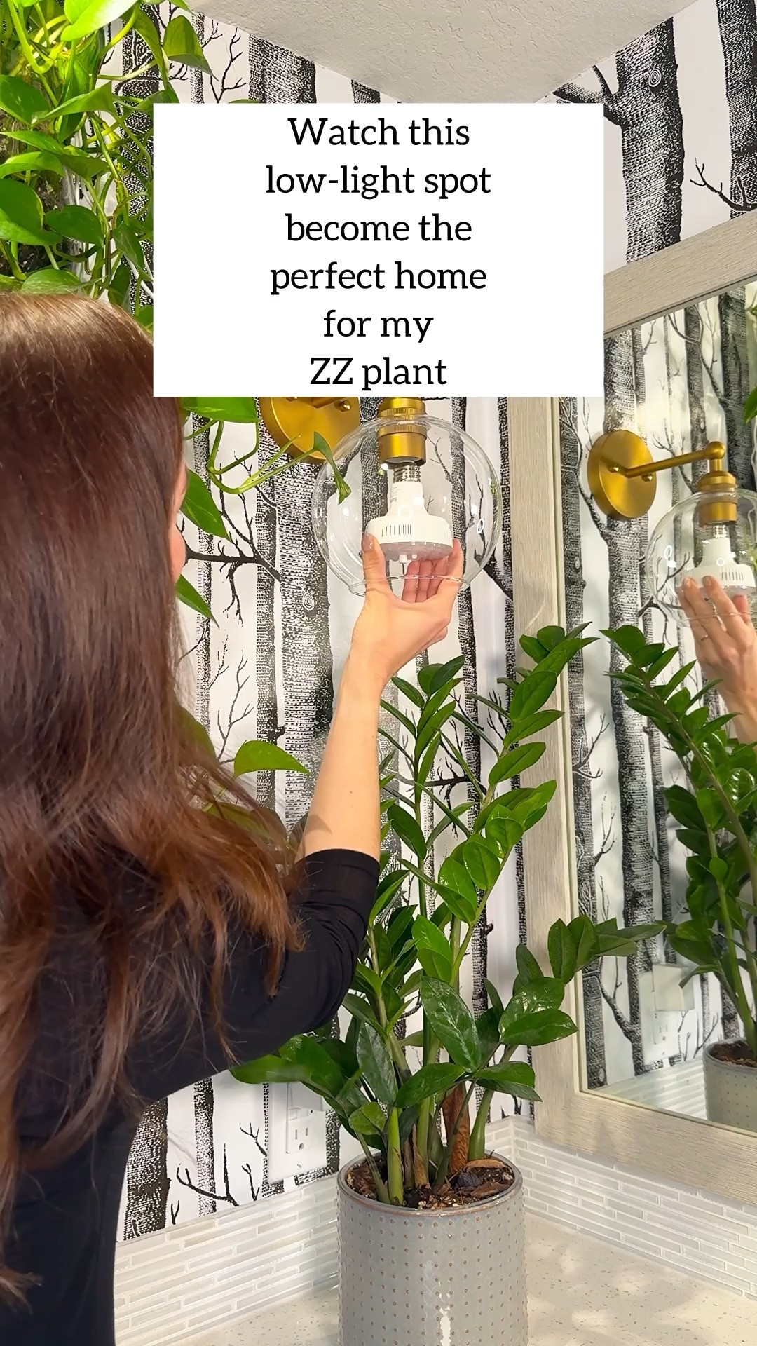 Use code JACQUELYNGROWS20 for 20% off ✨
Works on Barrina’s OG-09 Series, Terra Series, and TR Series grow lights. 

I can’t link the exact bulb below but you can still use my code at Barrina’s website to get the bulb there. 

This is one of the easiest upgrades you can make if your home lacks natural light.

The Barrina Orbgrow OG11A Grow Light Bulb makes it simple to give your plants consistent light without changing your setup.

• Fits into any standard lamp or ceiling fixture
• Smooth brightness control so you can fine tune the light
• Built in timer with a DIP switch so it runs on autopilot
• 1460 lumens of output with energy efficient performance

If you want a more subtle look, use a shaded fixture to soften and conceal the bulb.

Your plant gets steady light, and your space still feels clean and styled.

grow light for plants | indoor plant lighting | low light plant setup | zz plant care tips | plant care at home

#barrina #og11a #og11agrowlightbulb #barrinagrowlight #barrinagrowlights #orbgrow

#LTKU #LTKHome #LTKdayinmylife