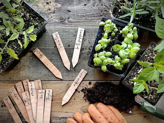 Custom Engraved Wood Garden Markers  Wood Vegetable Herb | Etsy | Etsy (US)