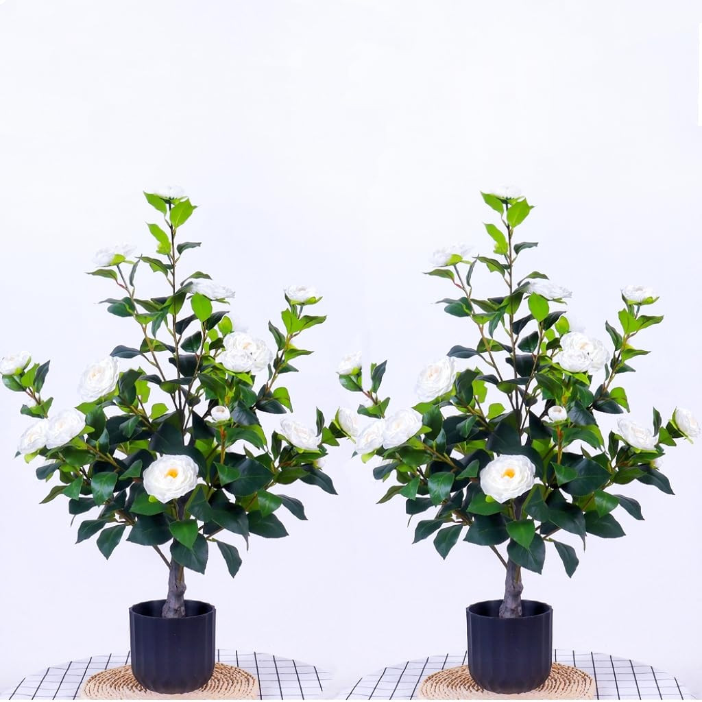 36 inch 2-Piece White Artificial Camellia Tree, Simulated Plant Flowers, Realistic White Flower C... | Amazon (US)