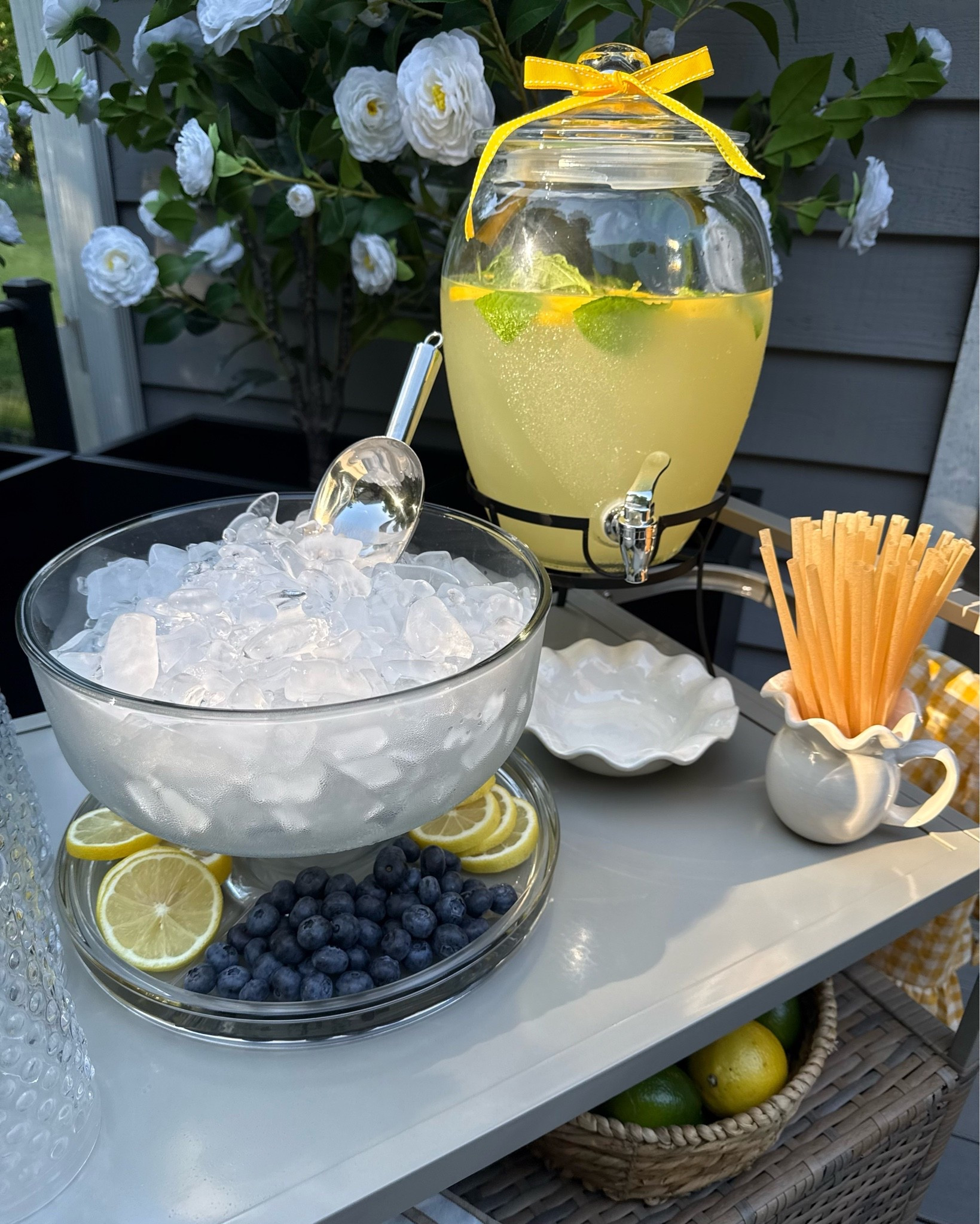 Amazon Beverage Dispenser On Sale

Follow @farmtotablecreations on Instagram for more home finds and styling inspiration.

This beverage dispenser is one of those pieces that instantly makes entertaining feel more put together. Whether you’re serving lemonade on the patio, sweet tea at a family gathering, or infused water for everyday use, it adds a beautiful touch while keeping drinks easily accessible for guests.

The glass design, built-in spigot, and generous size make it as practical as it is pretty. And right now, it’s on sale!

#amazonfinds #beveragedispenser #entertainingathome #hostessmusthave #summerhosting #drinkstation #amazonhome #patiodecor #outdoorentertaining #kitchenfinds

#LTKSeasonal #LTKHome #LTKSaleAlert