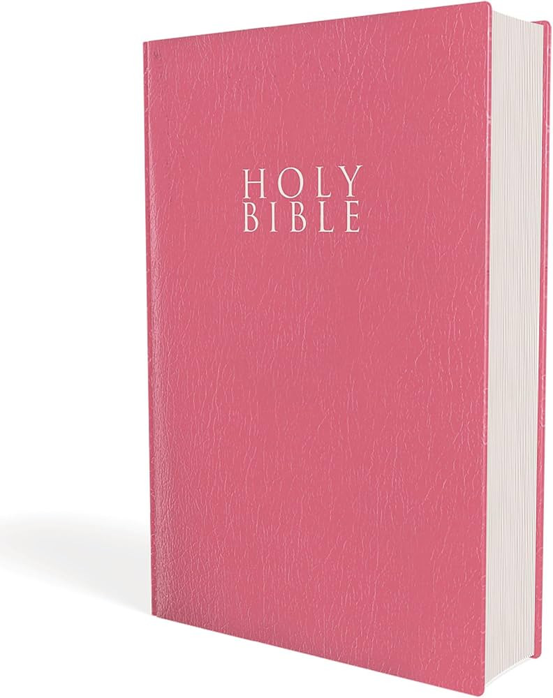 NIV, Gift and Award Bible, Leather-Look, Pink, Red Letter, Comfort Print | Amazon (US)