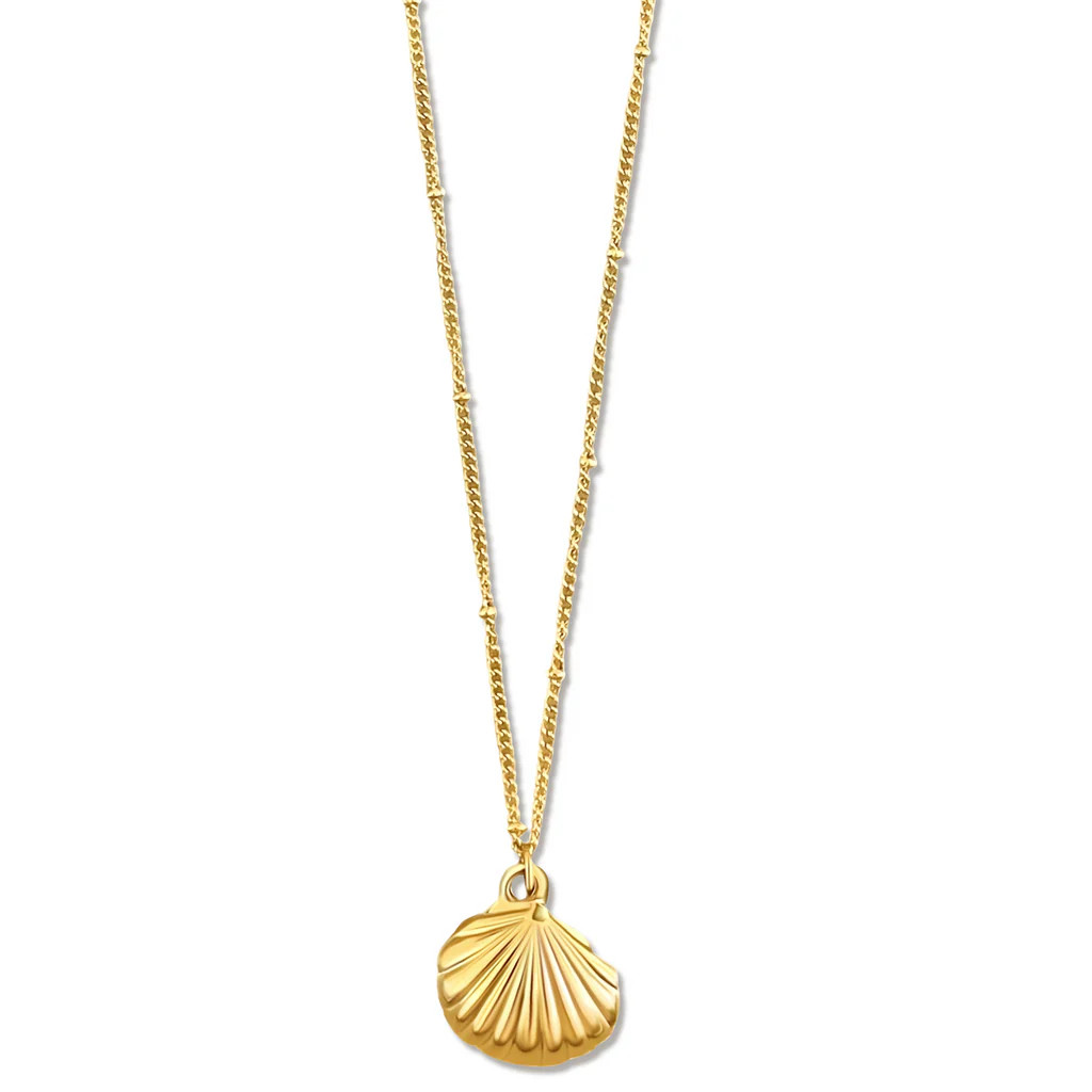 Ellie Vail - Georgina Shell Pendant Necklace | Ellie Vail Jewelry