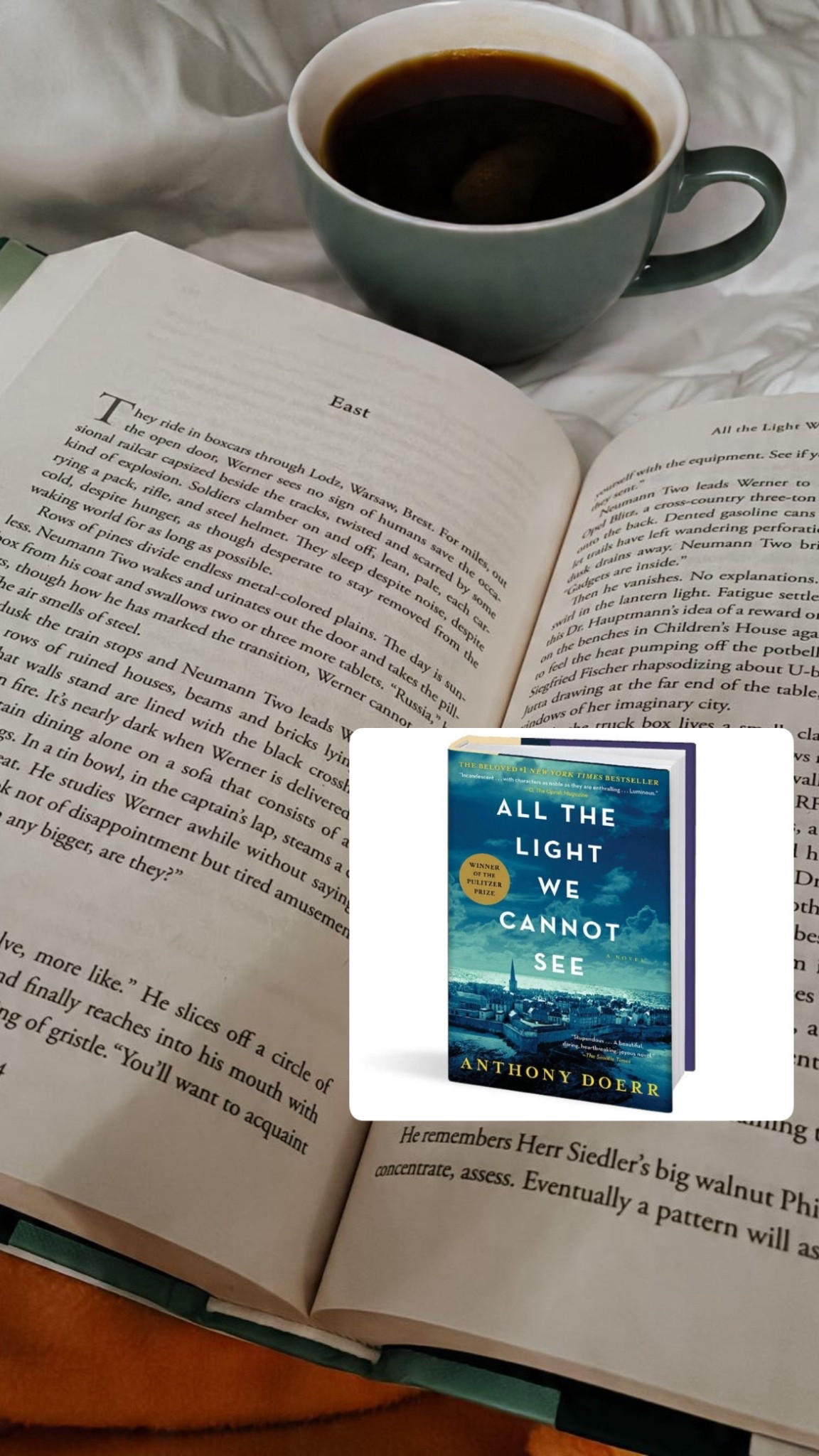 #allthelightwecannotsee #books #goodreads #amazon #amazonreads #booknerd 

#LTKSaleAlert #LTKHome