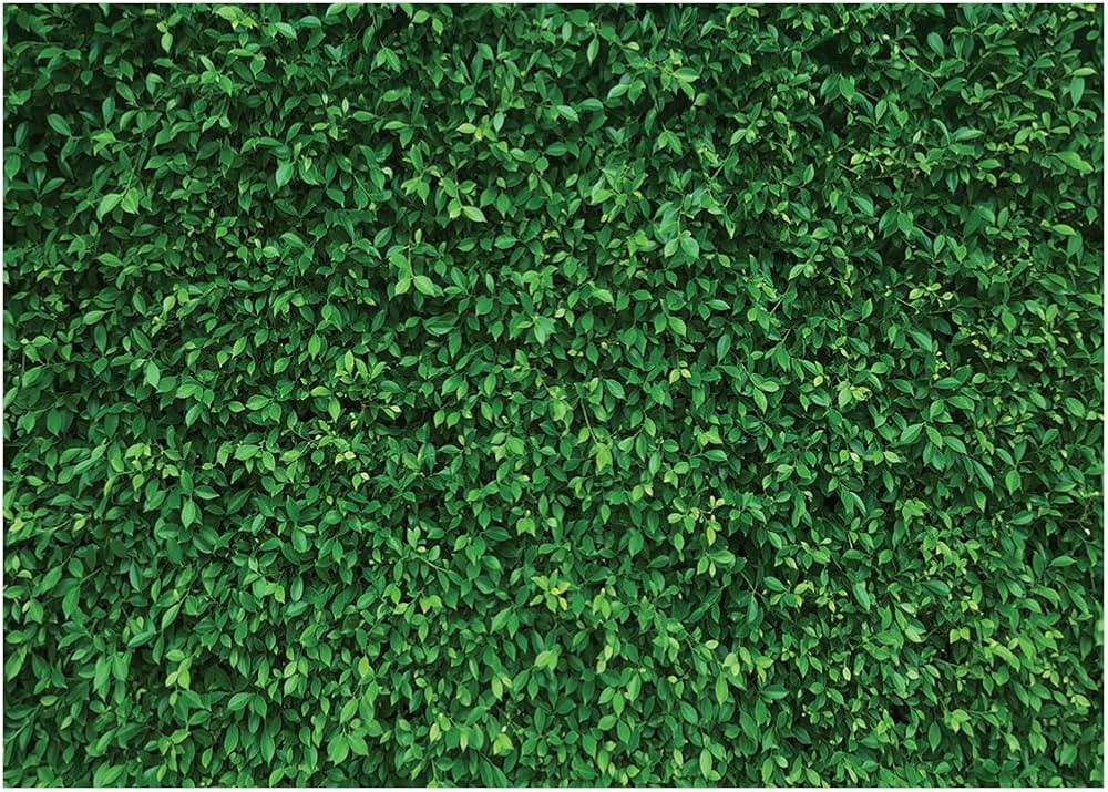 LYWYGG 7x5FT Green Leaves Photography Backdrops Nature Backdrop Birthday Background for Birthday ... | Amazon (US)