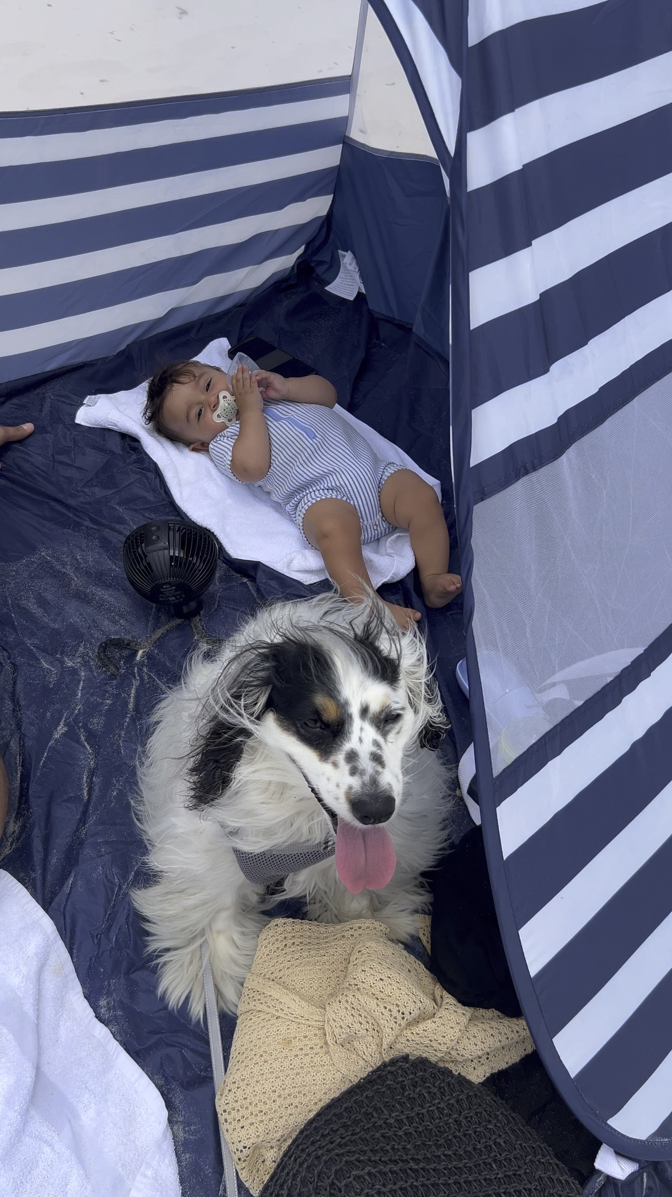 This pop up tent is a must have for babies, animals and even adults to offer some shade and safety during the hot summer months. It pops up in seconds and we use it on the beach and in the pool. It folds up small enough for us to take on trips and is big enough for all of us to sit inside. It’s especially helpful to offer some privacy when I need to breastfeed 🥰🥰 MUST have! 

#LTKFamily #LTKSeasonal #LTKFindsUnder50
