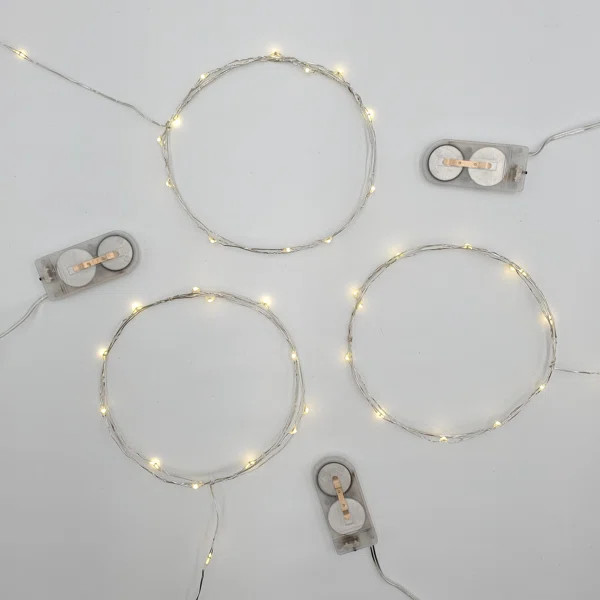 Lapidus Battery Operated LED Fairy String Lights | Wayfair North America