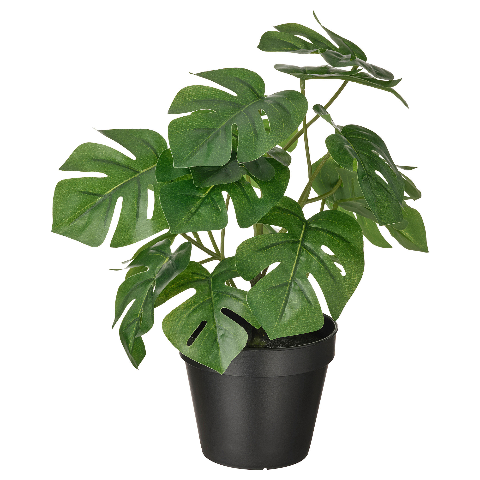 FEJKA Artificial potted plant, indoor/outdoor monstera, 4 ¾ " | IKEA US