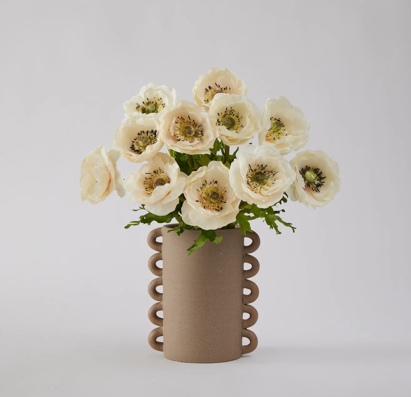 Anemone Bundle Cream + Ceramic Loop Vase | Emily By Emily