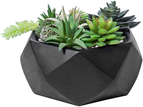 MyGift | Amazon (US)