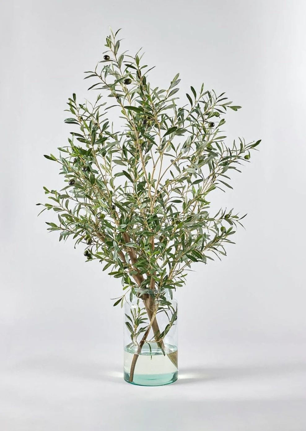 Artificial Olive Branch Arrangement in Glass Vase - 49" | Afloral