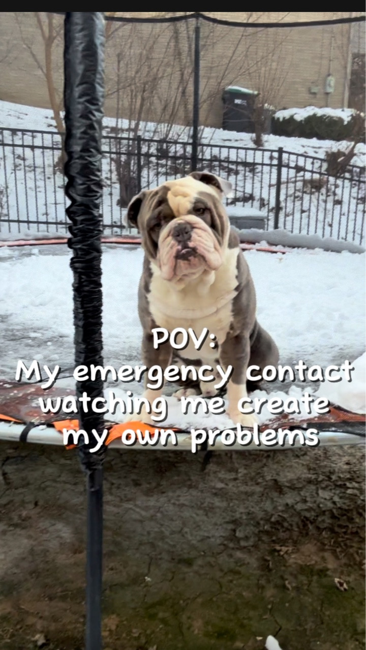 POV: You create the problem.
Also you: immediately demand assistance from my husband.
My dog is me. I am my dog. 🐶😭

If you’ve never caused your own chaos and then required emotional and physical support… cannot relate.😂

#dogreels #povreels #funnydogs #bulldogsofinstagram #relatablecontent

#LTKmomlife #LTKstorytime #LTKdayinmylife