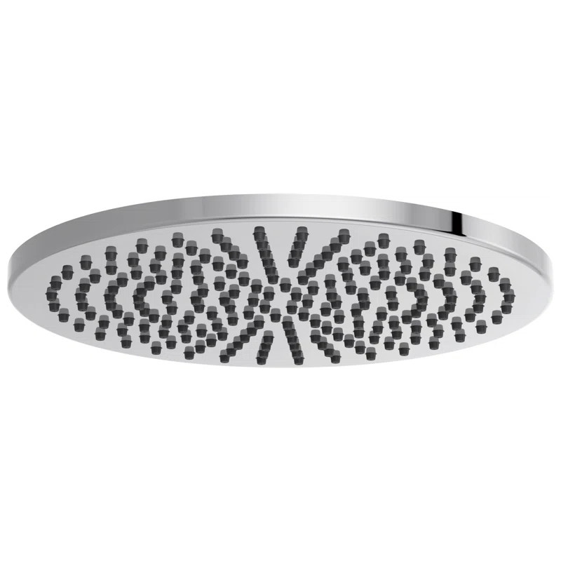 Essential™ Rain Adjustable Shower Head | Wayfair North America
