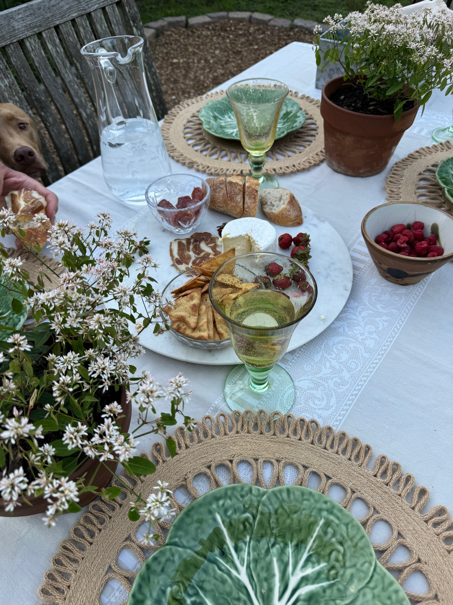 Summer tablescape ☀️🍷💚

#LTKHome #LTKFindsUnder100 #LTKParties