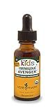 Herb Pharm Kids Certified-Organic Alcohol-Free Immune Avenger Herbal Formula, 1 Ounce | Amazon (US)