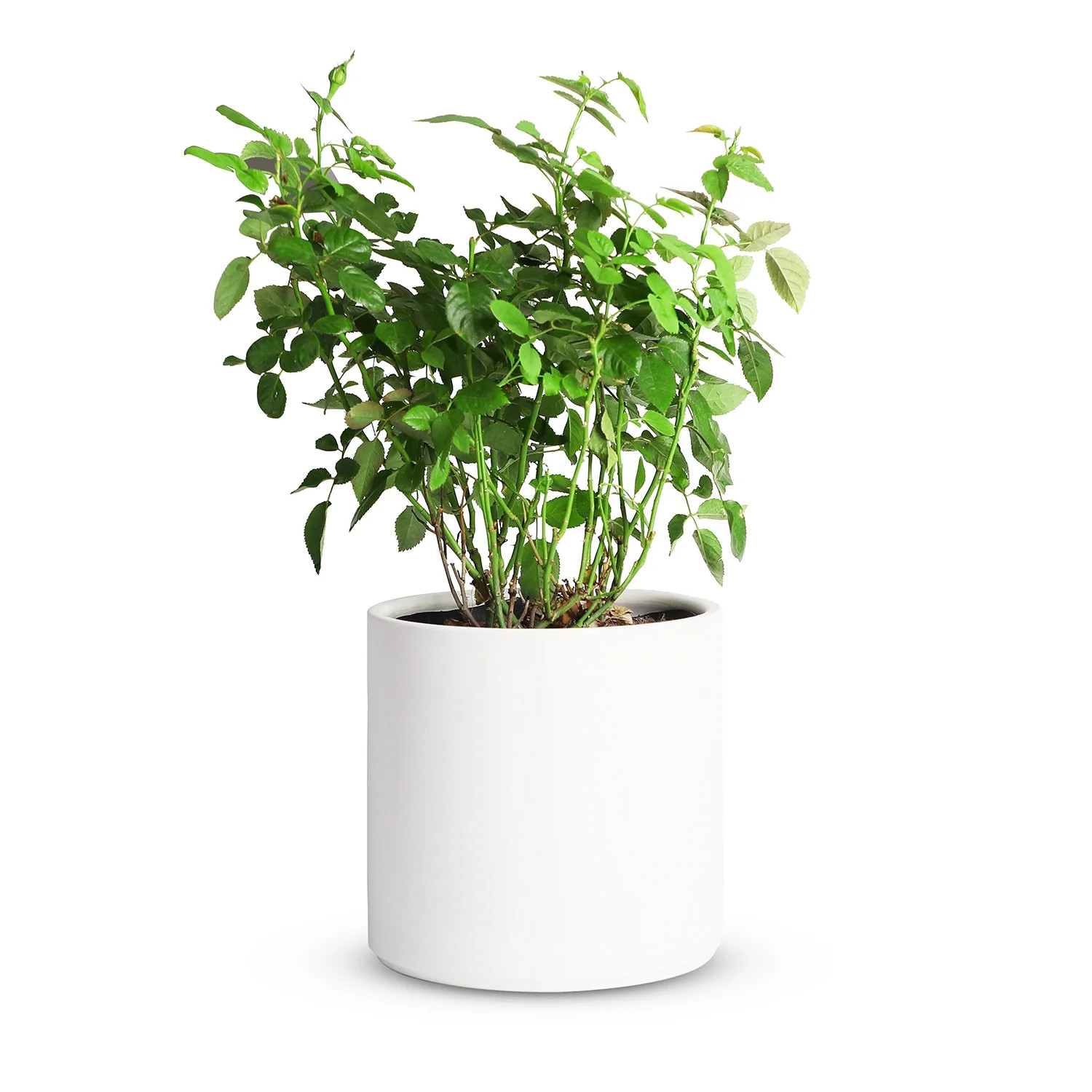 Garden Planters | Walmart (US)