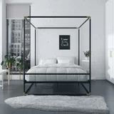 Latitude Run® Ahonesti Queen Canopy Bed | Wayfair North America