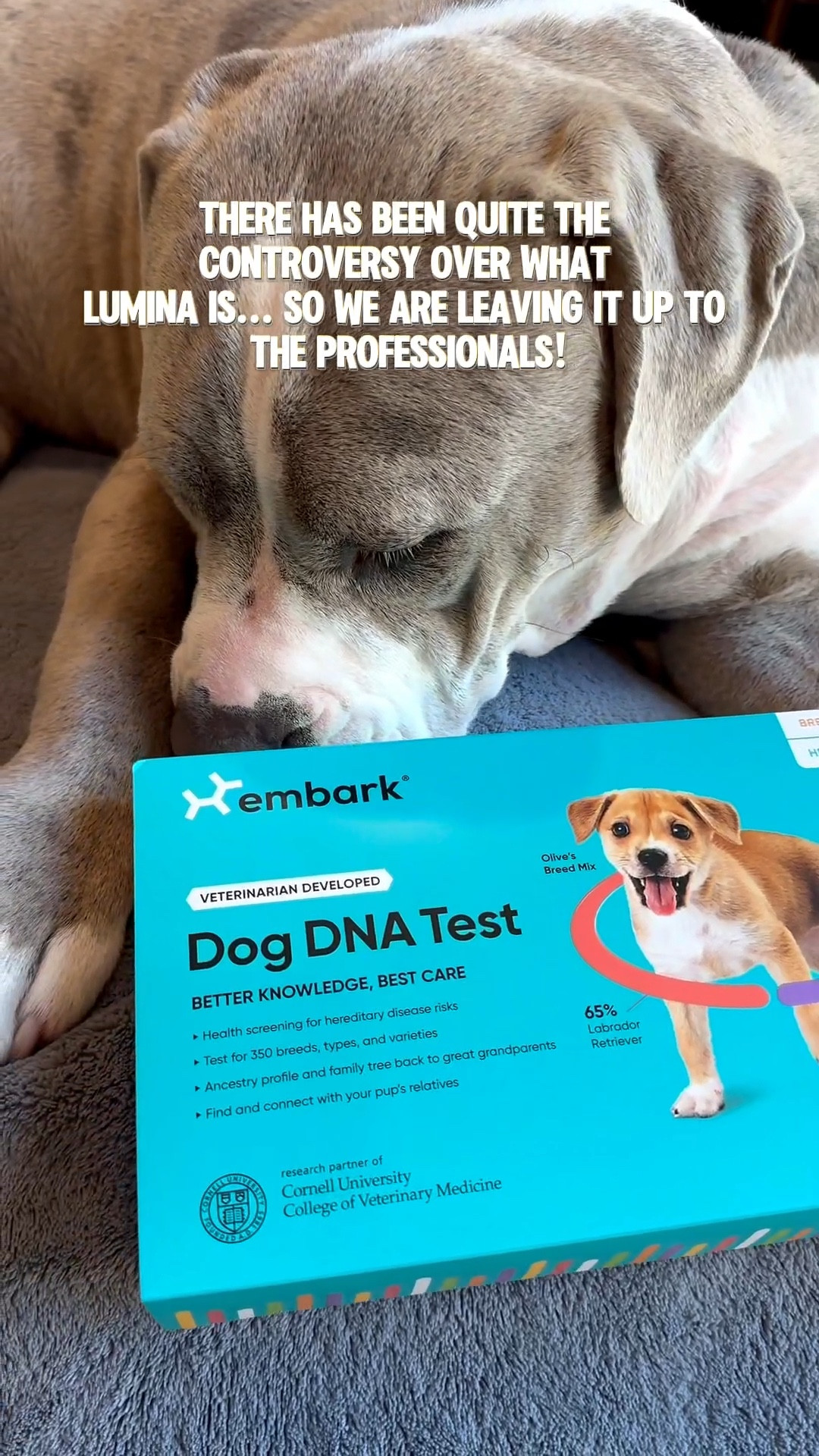 Unlocking Lumina’s DNA was the BEST thing we’ve done as bully breed parents 🧬🐾
We used the Embark DNA Test to discover her breed mix, screen for 250+ health conditions, and get personalized insights for her long-term wellness. The results were incredibly detailed and SO eye-opening!

✨ Health screening for genetic risks
🐶 Breed breakdown + traits
🏥 Vet-ready reports for proactive care

If you’ve ever wondered what your dog is made of or want to be ahead of any hidden health issues, this is a must-have. Linking the exact Embark test we used in my LTK! #EmbarkDNA #DogDNA #PetHealth #BullyBreedLove #LTKDog #SmartPetParenting

#LTKGiftGuide #LTKFamily #LTKPets