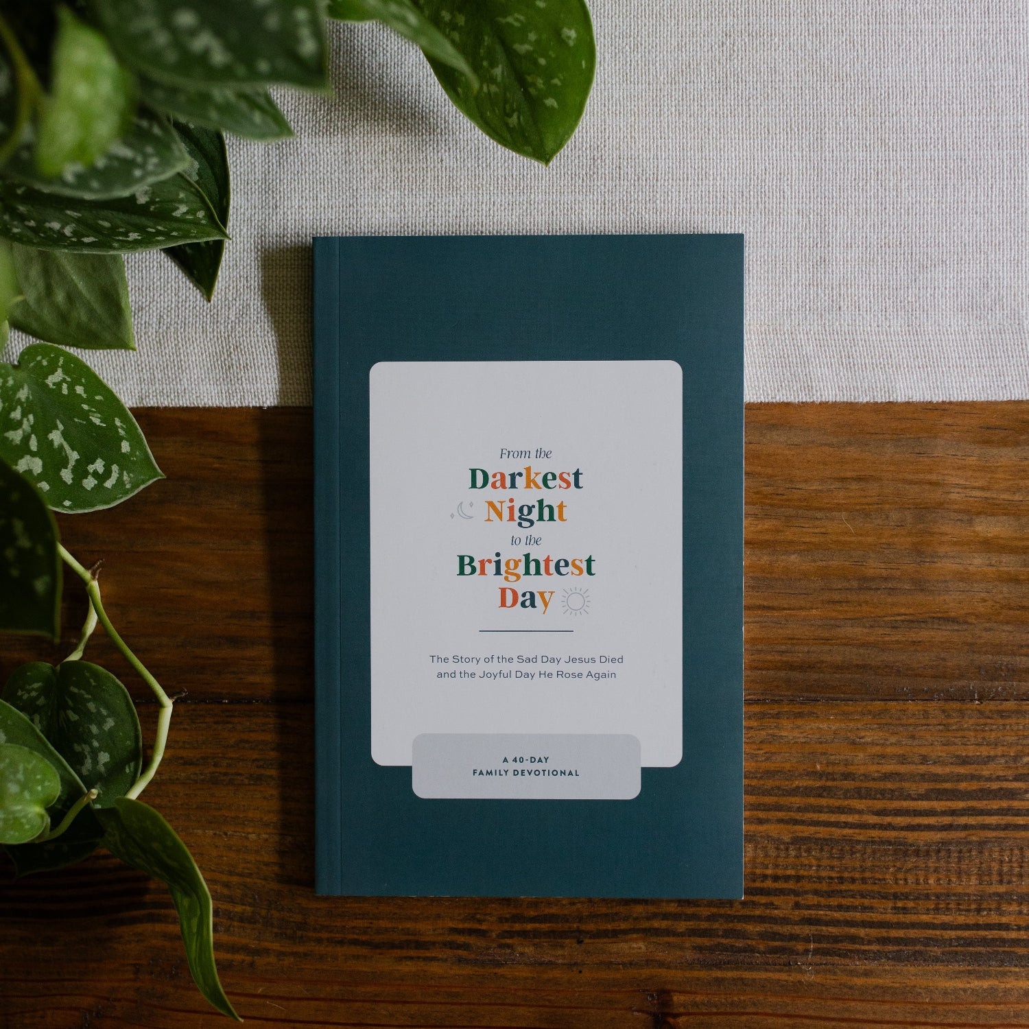 From the Darkest Night to the Brightest Day: The Story of the Sad Day Jesus Died and the Joyful D... | The Daily Grace Co.