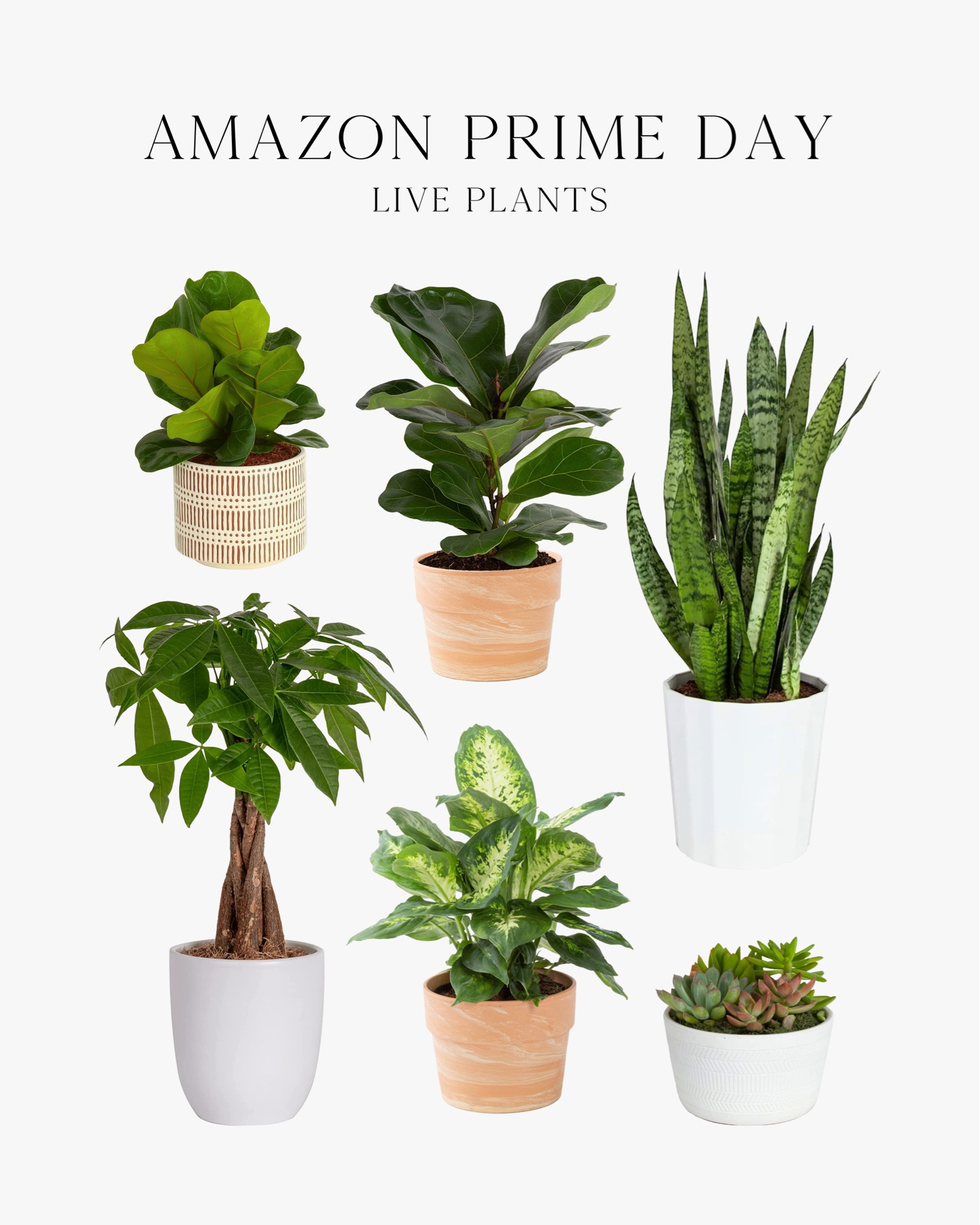 #LTKsalealert #LTKxPrimeDay #LTKhome