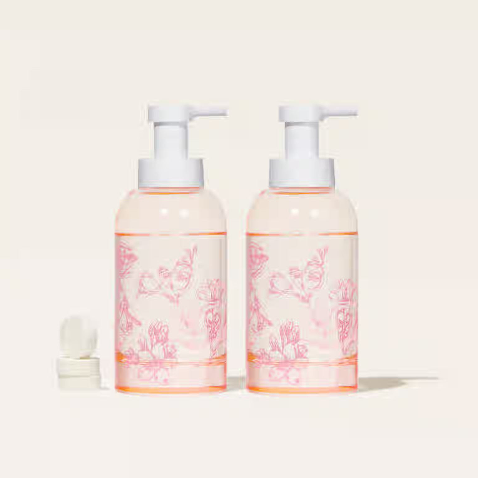 Hand Soap Duo | Blueland