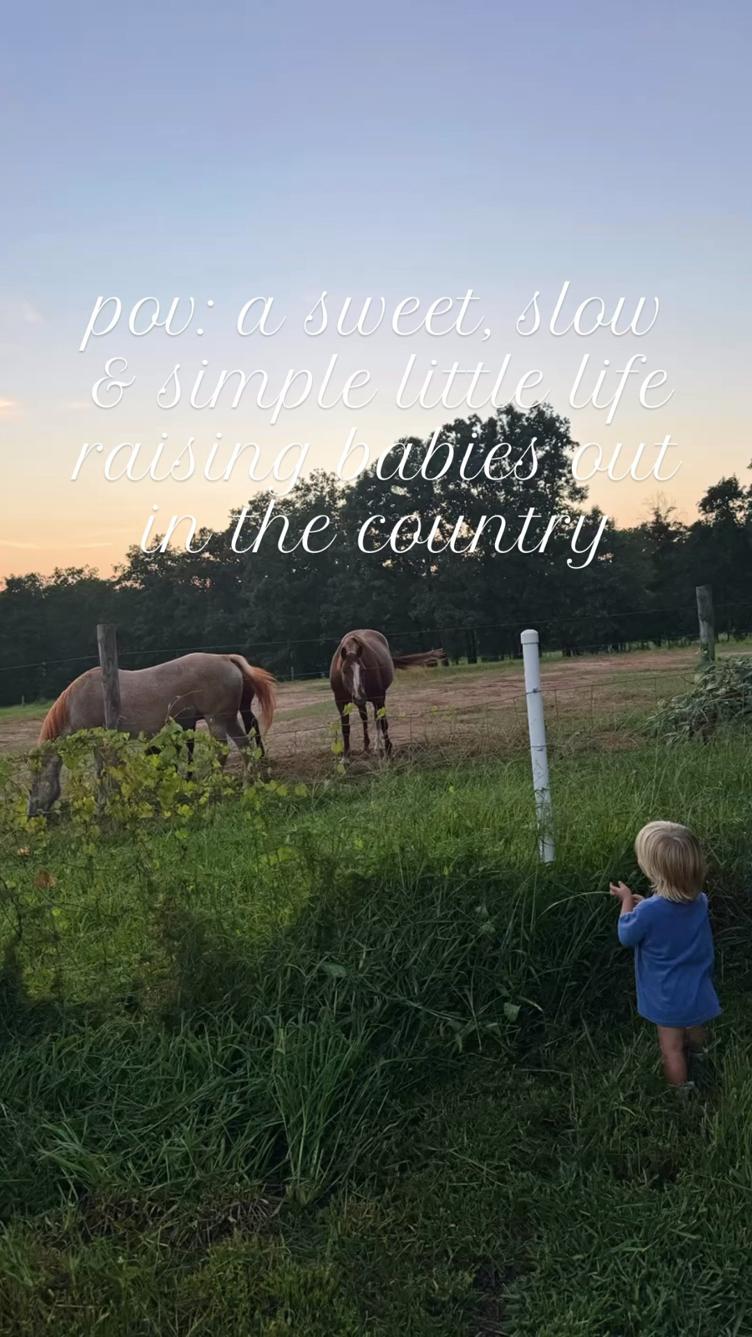 s w e e t  l i t t l e  m o m e n t s 🎞️🌾🏡⚾️🐓🥚✨🧺💦🚜🧢🏟️🌞🇺🇸🧋🌅 #sahm #homeschoolmama #lifeonthefarm #raisinglittlesinthecountry #lovethislittlelife 

Nothing like starting our days with walks 🌅 or runs 🏃‍♀️ (this morning’s sunrise just took my breath away…. Thank you, Lord, for your beautiful world and all of your goodness !!!! ✨) and a happy lil’ farmhouse morning with all the colorful fresh eggs 🥚 from our girlies 🐓 !!! And I sure do love daily sweet little homeschool preschool mornings ✏️📖 and our weekly library trip 📖📚 with my little loves!!! 👶🏼❤️ And out picking farm fresh green beans 🫛 straight from the garden 🪴 for dinner 🍽️ while they were napping 💤 yesterday (the best!!) before another fun 🤩 night out on the ballfield ⚾️🧢, playground 🛝 with buddies ❤️, and rolling down the grass hill 🌿 in the rain 🌧️ - these are the days !!! 🙌🏽 

And today started with my man coming home from the gym 💪🏽 with my favorite 🤩 iced coffee 🧋 before he headed to work… what a guy 😘😍 and a sweet little rainy morning on the farm 🫶🏽🌾🥚🐓 with my littles 🌸 - so grateful for these precious days at home 🏡 with them!!! 💖 Then we spent this Friday funday at the pool 💦 👶🏼 and it’s just been the best!!! 🌞 Yay 🥳 for friYAY and the weekend ahead!! 🎉🫶🏽
