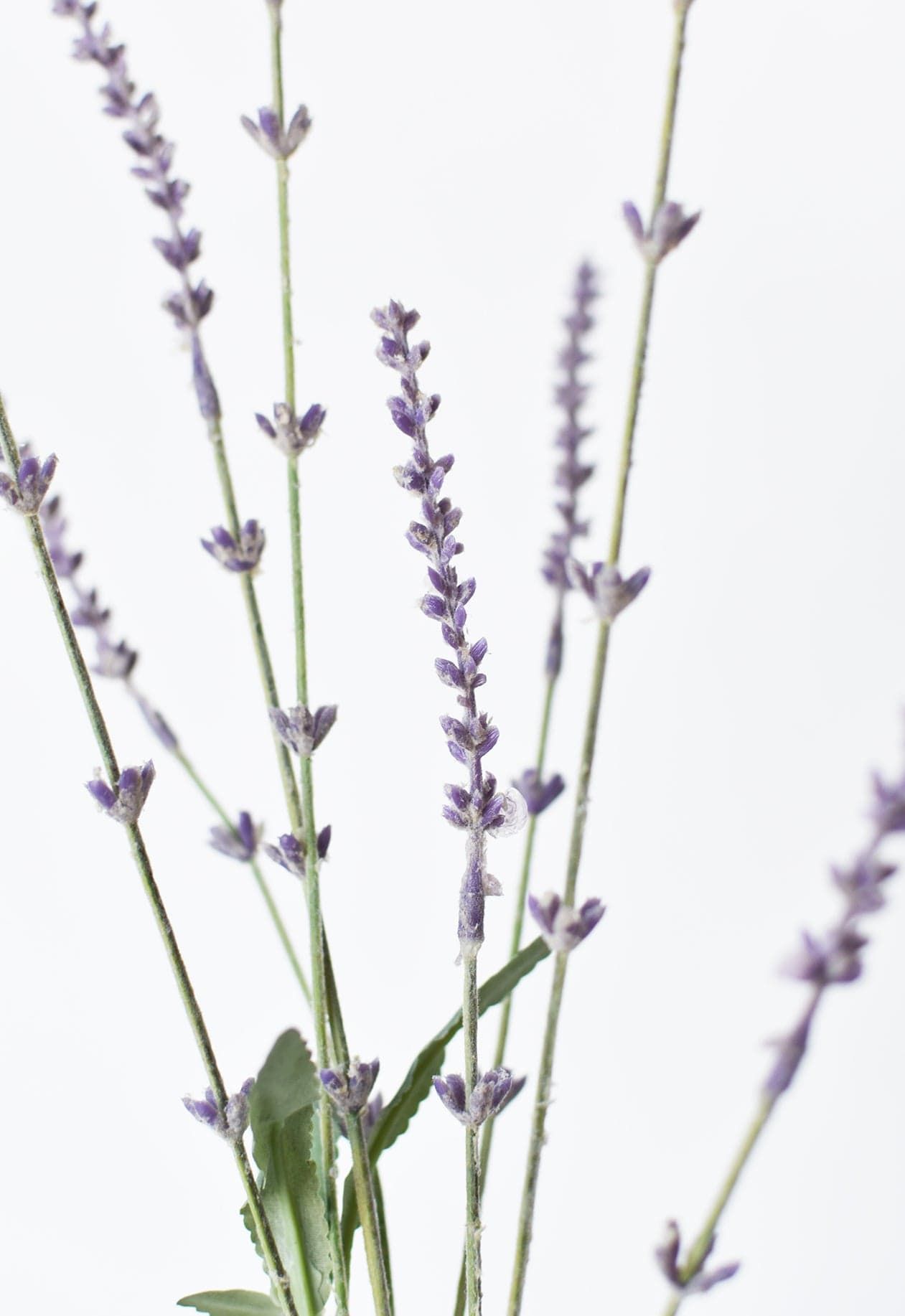 33" Faux Lavender Stem | HouseFloral