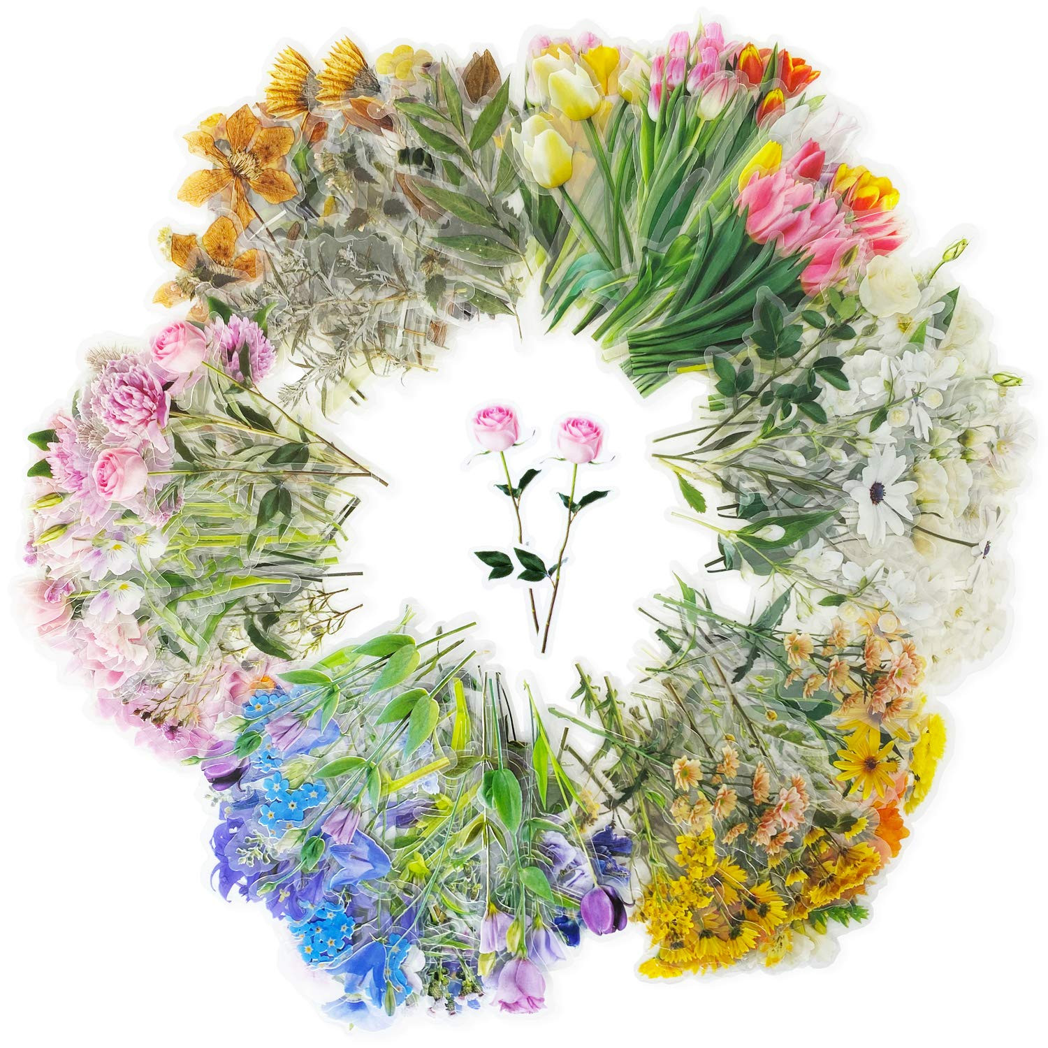 Kenkio 240 Pieces Transparent Flower Stickers 6 Styles Floral Decorative Scrapbook Stickers Special  | Amazon (US)