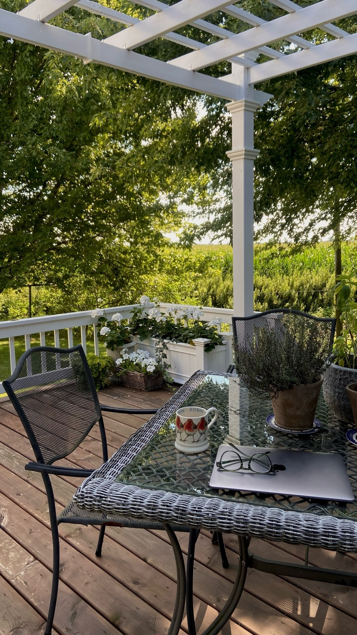 If you do one outdoor project this year, make it adding a maintenance-free, all weather pergola. Completely changed our backyard.🤍

#LTKcanada #LTKsummer #LTKhome