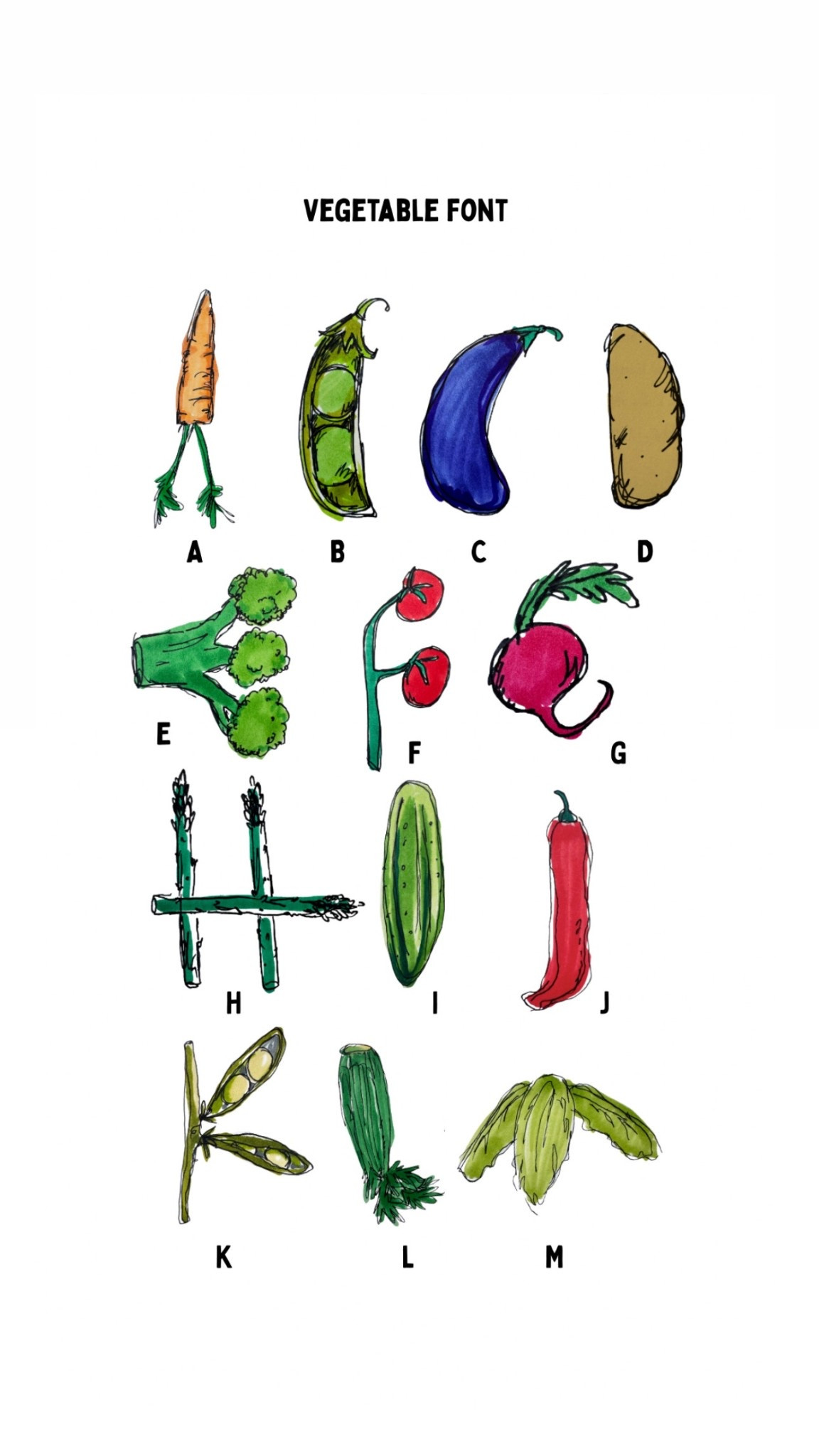 Vegetable alphabet drawn with my favorite pen and markers 

#LTKHome #LTKU