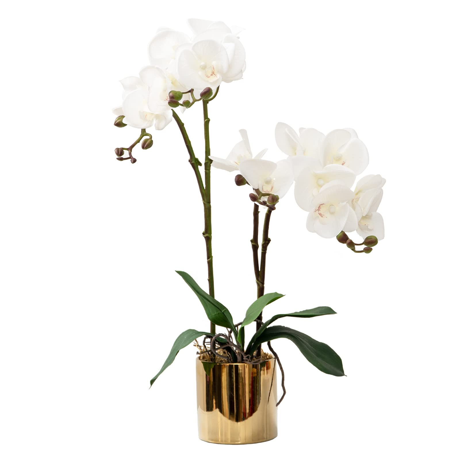 CXGS Artificial Orchid Flower Plant Real Touch Faux Orchids in Ceramic Vase White 19.7'' Fake Pha... | Amazon (US)