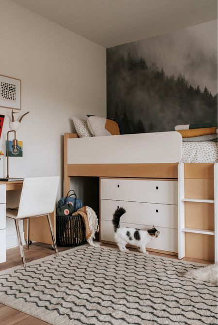 Boys Room 🖤

Loft bed and washable rug. Neutral Bedding- a hint of color. 🌿

Simplistic Modern - Kids - Family - Bedroomm