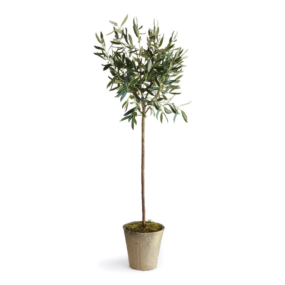 Faux Olive Tree Tree in Ceramic Pot | Wayfair North America