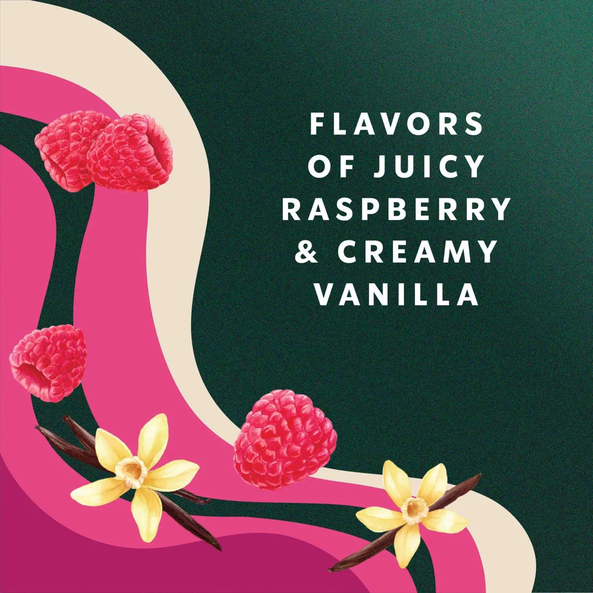 Starbucks Raspberry Vanilla Flavor Coffee Creamer - 28 fl oz | Target