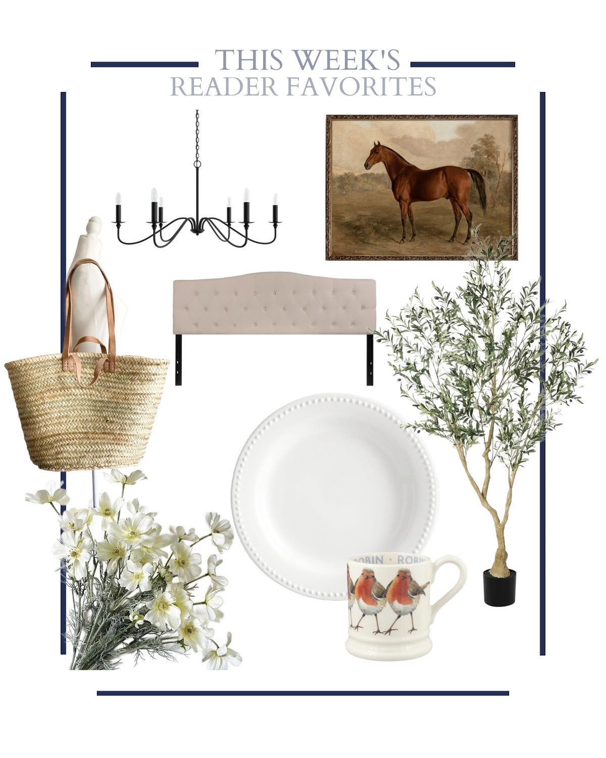 This week’s reader favorites!

#LTKOver40 #LTKHome #LTKSeasonal