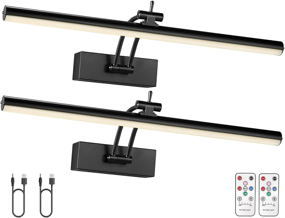2 Pack Picture Light Battery Operated for Wall, 16" Wireless Display Art Lighting for Painting wi... | Amazon (US)