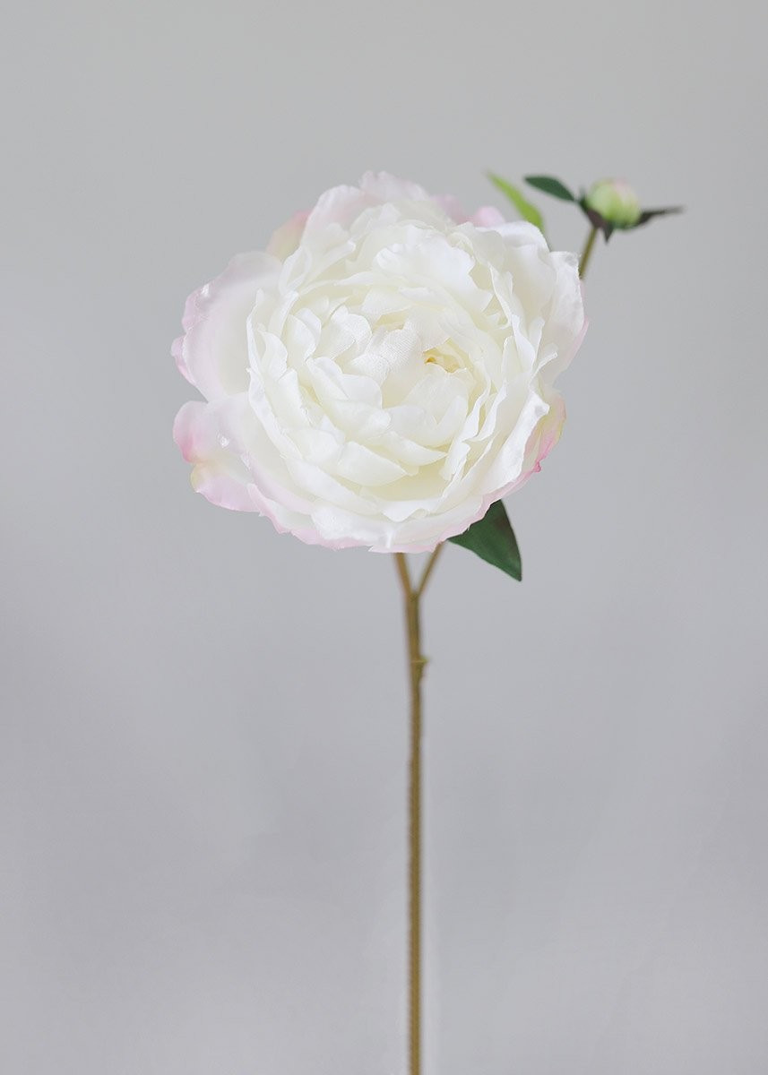 Faux Peony Flower in Cream Blush | Afloral (US)