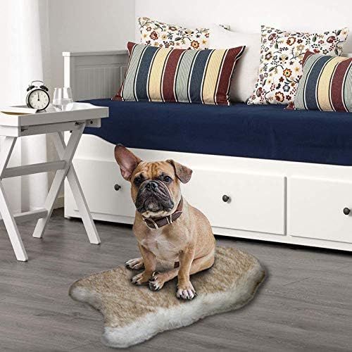 Goasis Lawn Faux Fur Pet Bed Mat, Thick Luxury Fur Throw Rug, Dog Cat Bed, Off White Fur with Bro... | Amazon (US)