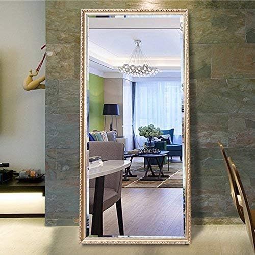 Hans & Alice 65"x24" Rectangular Bathroom Full Length Floor Mirror Standing or Hanging(Champagne) | Amazon (US)
