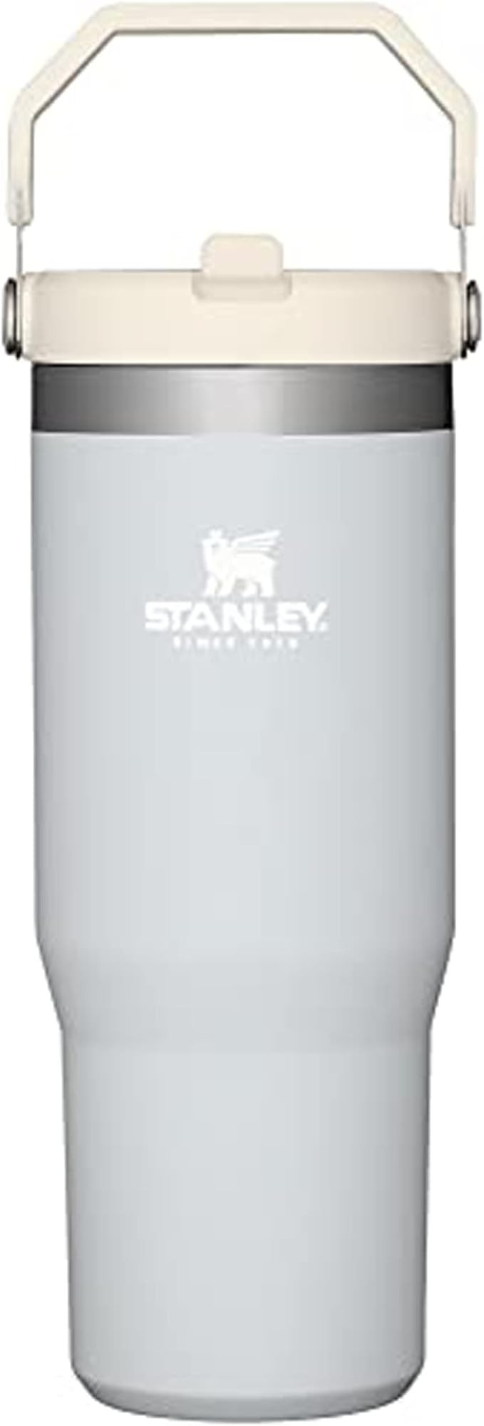 Amazon.com: Stanley IceFlow Stainless Steel Tumbler with Straw - Vacuum Insulated Water Bottle fo... | Amazon (US)