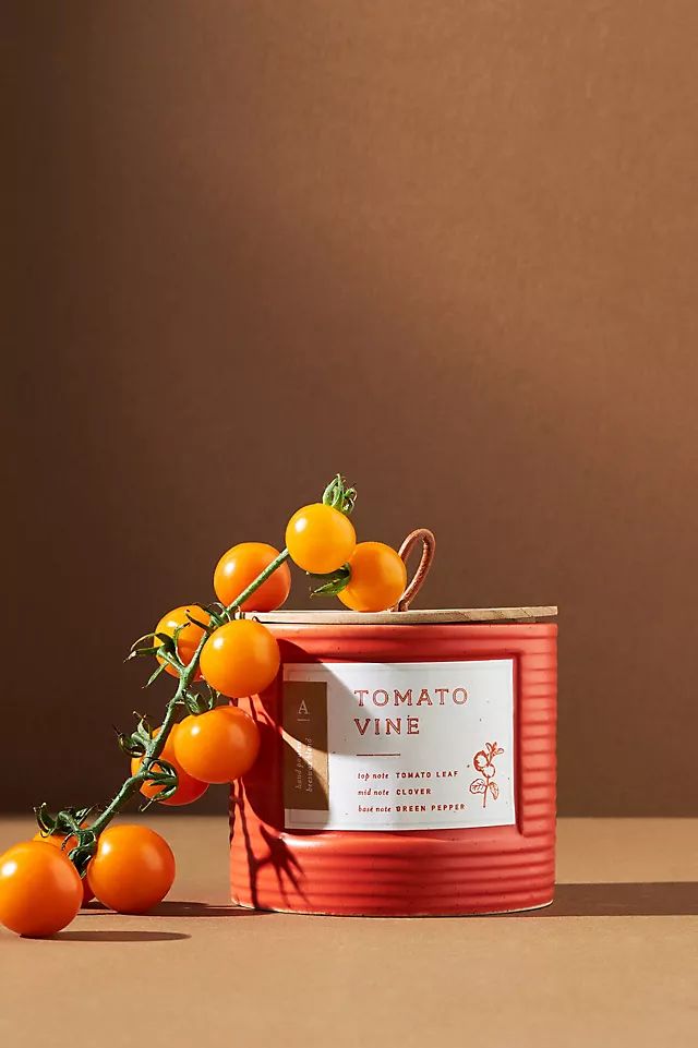 Hive & Wick Market Candle | Anthropologie (US)