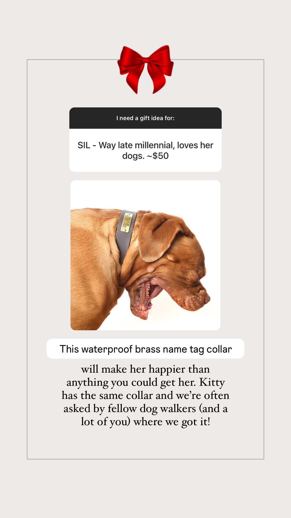 Gift idea for a late millennial who loves dogs

#LTKfamily #LTKHoliday #LTKGiftGuide