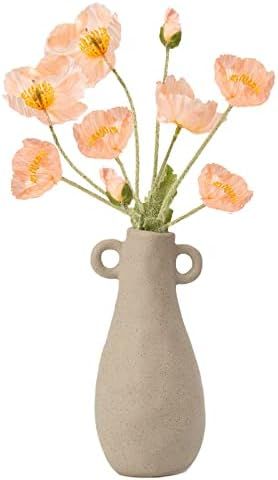 Cynkeyee Ceramic Vase Handcrafted Flower Vases, Small Vintage Boho Vases for Home Decor, Double E... | Amazon (US)