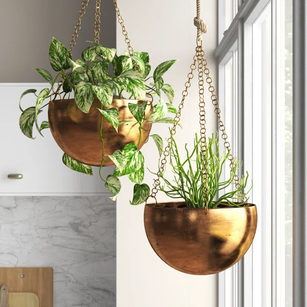 Benally 2 - Piece Iron Hanging Planter Set | Wayfair North America