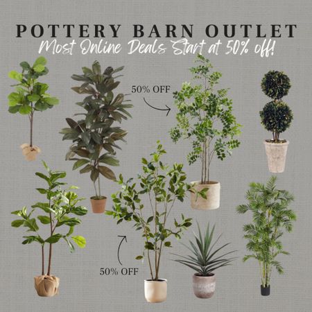 CLICK FIRST PHOTO TO VIEW FULL POTTERY BARN ONLINE OUTLET!
Huge restock!! Tons of faux trees for half off! 

#LTKhome #LTKsalealert #LTKstyletip