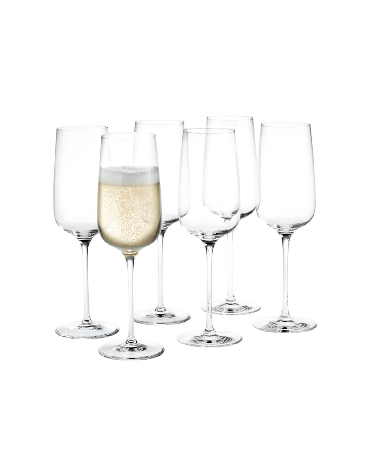 Holmegaard Bouquet Champagne Glasses, Set of 6 - Clear | Macy's