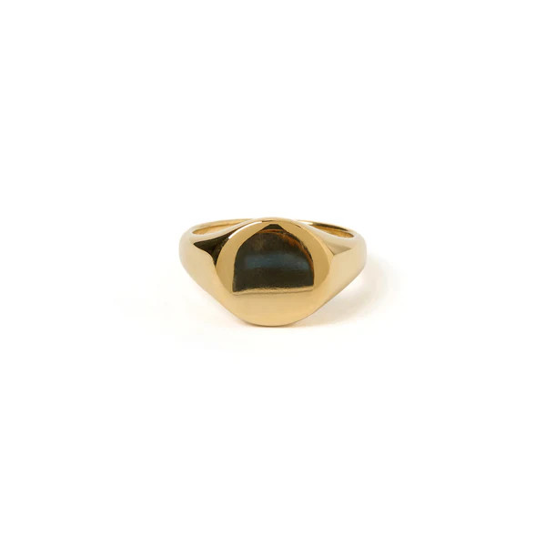 Miro Gold Signet Ring | Arms Of Eve