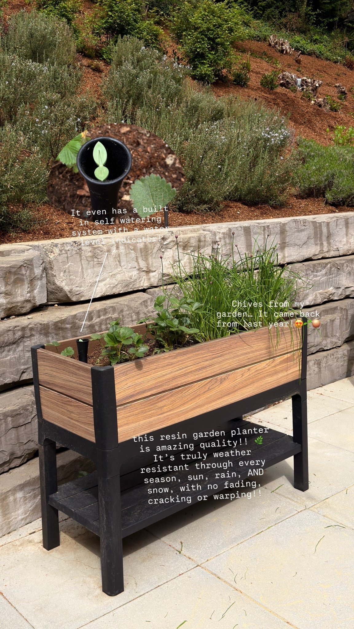 No more than wood farden planter!!!! this resin garden planter is amazing quality!! 🌿 It’s truly weather resistant through every season, sun, rain, AND snow, with no fading, cracking or warping. It even has a built in self watering system with a water level indicator so your plants stay perfectly hydrated (hello low maintenance mom win 🙌). Such a smart buy for anyone who wants their outdoor space to actually last!​​​​​​​​​​​​​​​​