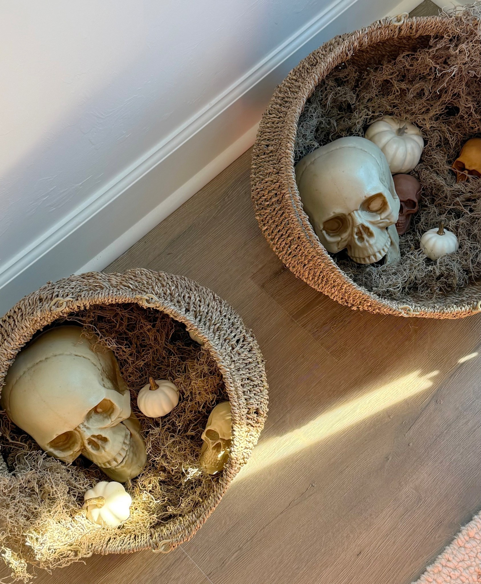 Cute idea for adding some spooky decor to your baskets! 

I used Spanish moss and some different size pumpkins and skeleton skulls to create this look 


Halloween decor, spooky season, fall decor, decorative baskets, entryway styling, entryway decor 

#LTKHalloween #LTKHome #LTKSeasonal
