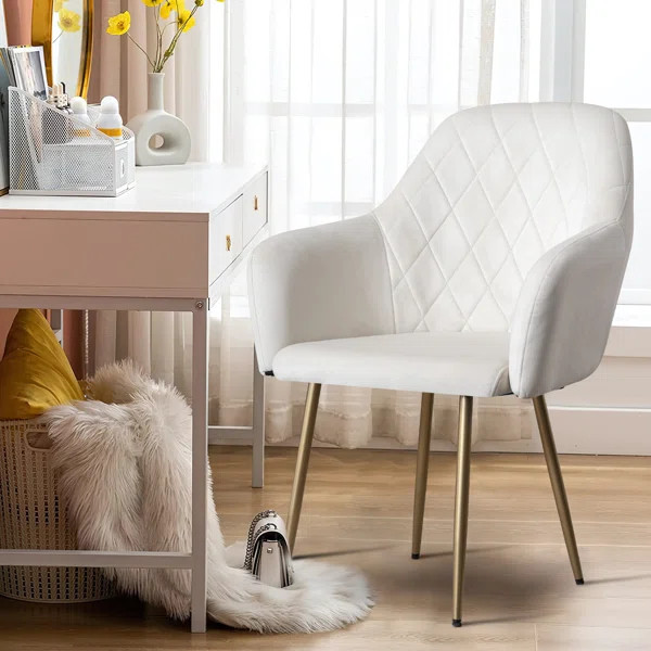 Rumena Velvet Task Chair | Wayfair North America