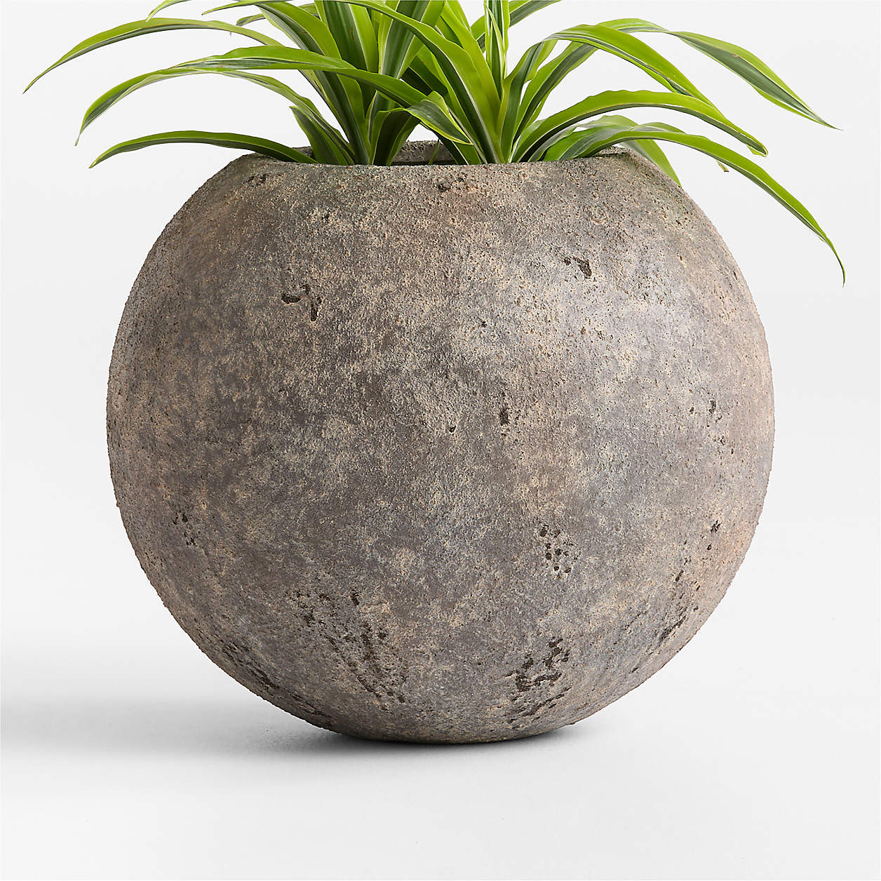 Sphere 17.5" x 20.0" Bronze Textured Indoor/Outdoor Planter + Reviews | Crate & Barrel | Crate & Barrel